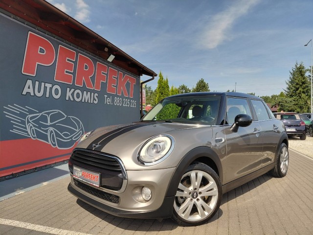 mini