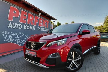 Salon Polska Kamera przód i tył Full LED Navi